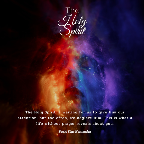 The Spirit Novel Book Cove